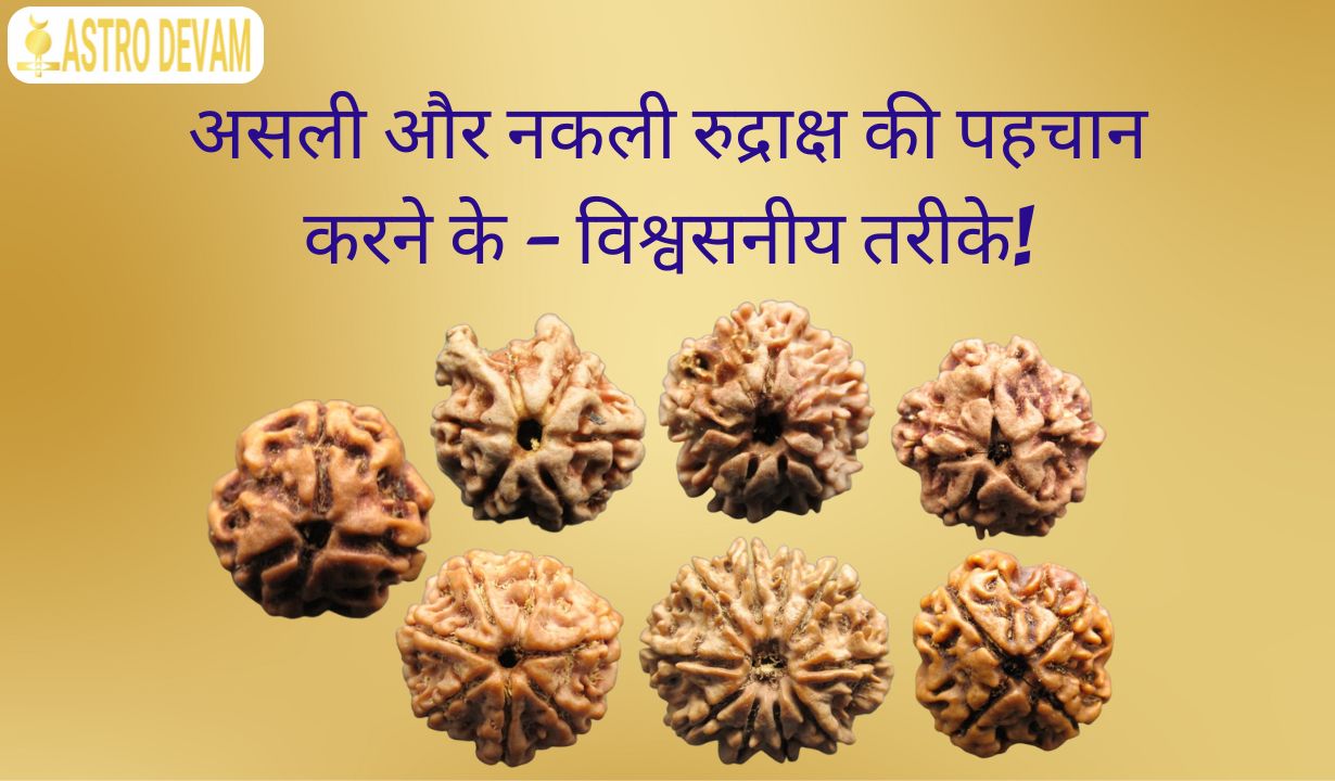 रुद्राक्ष